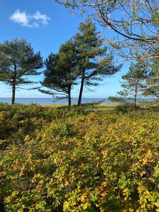 Osterbruch Altes Pastorenhus - Land Und Meer מראה חיצוני תמונה